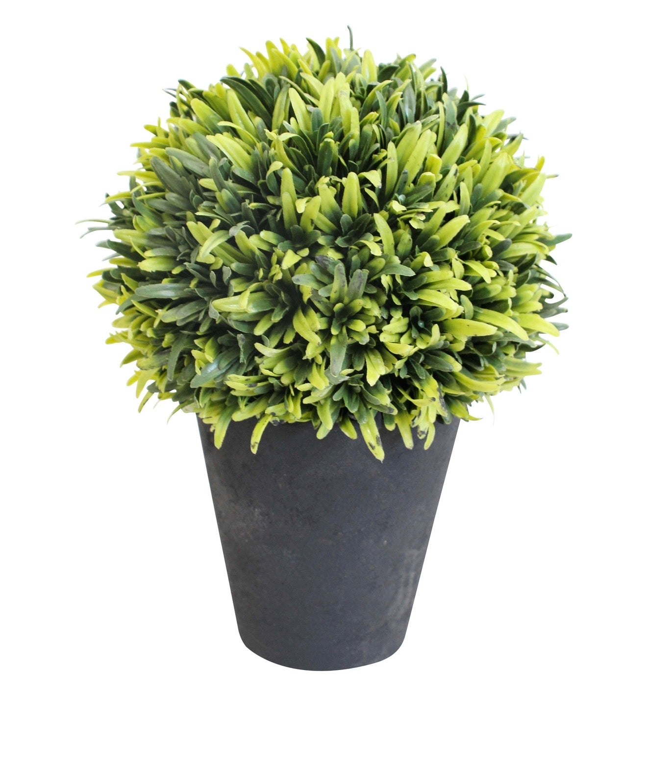 Everlasting French Moss