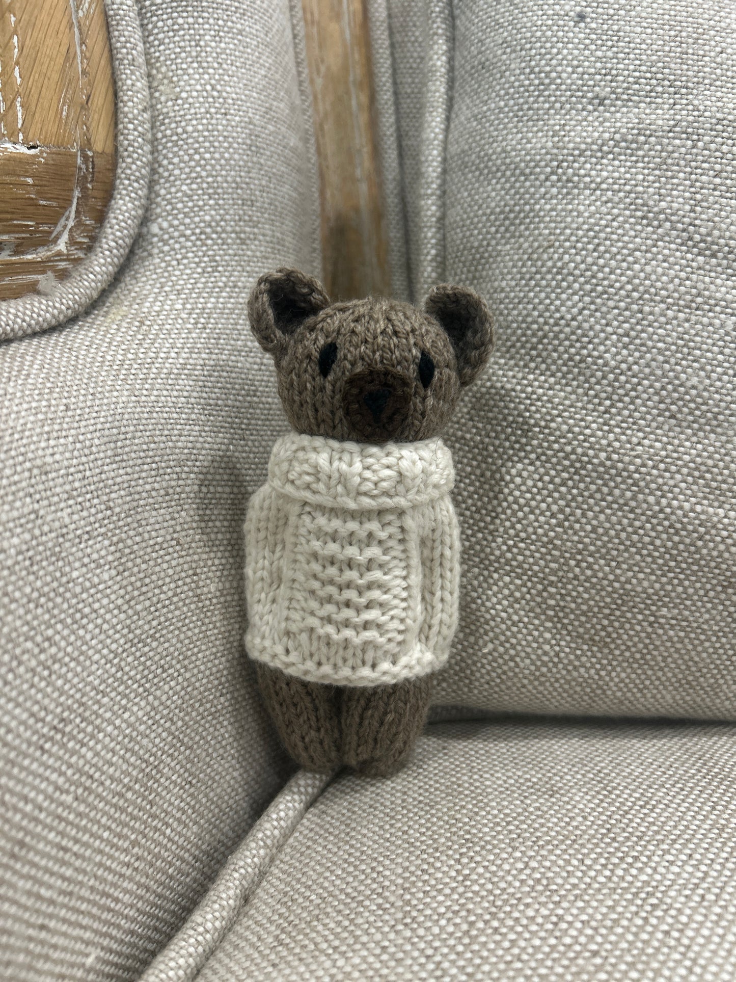 Ian The Bear