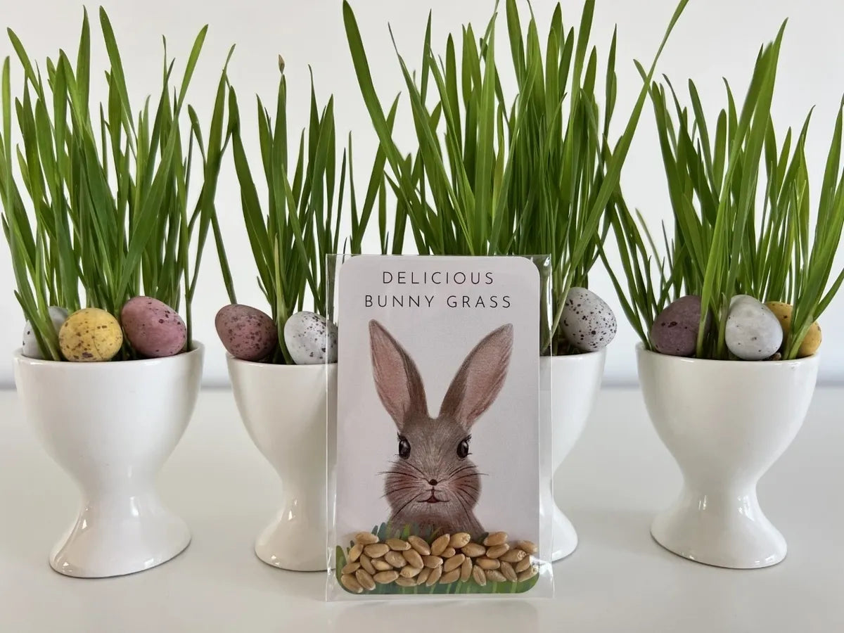 Delicious Bunny Grass