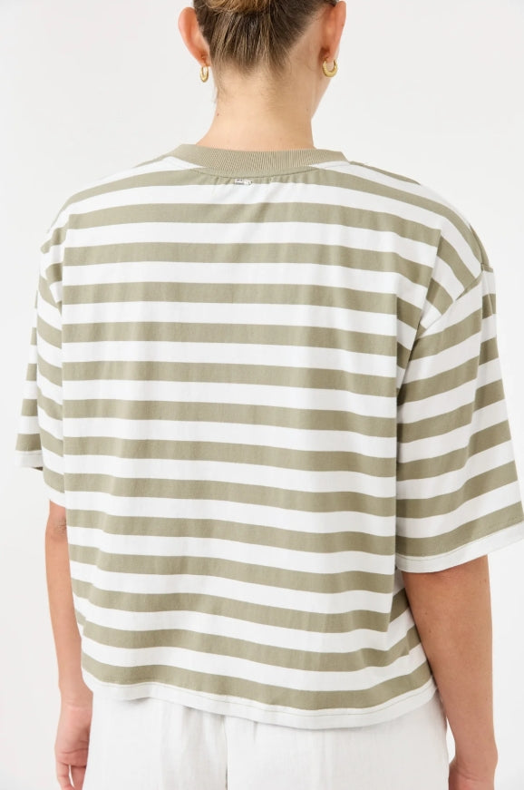 Studio Stripe Tshirt - Olive