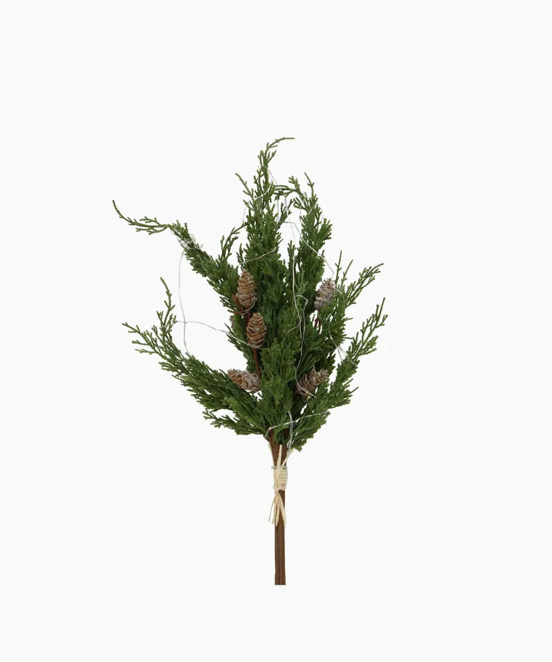Cedar & Pinecone Branch with Lights 60cm
