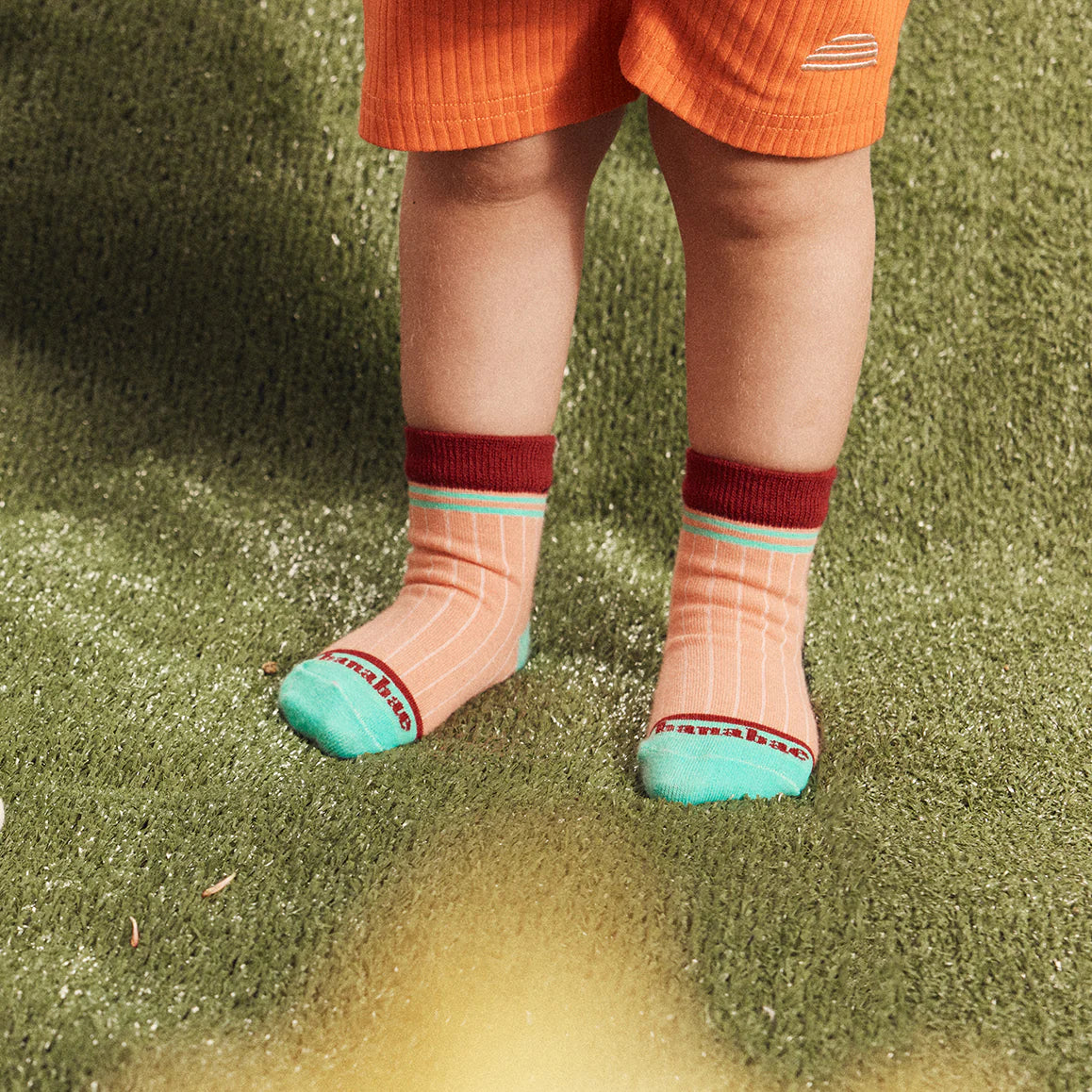 Rad Kid Berry Crew and Stripe Sock Pack - Kids