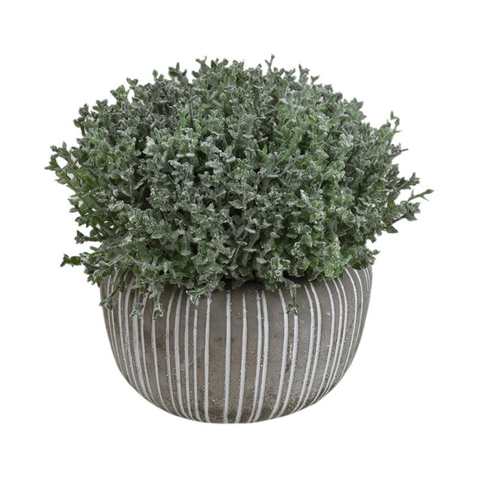 Grass in Cement Pot