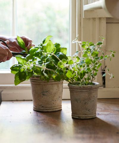 Gris Planter Pot - Medium