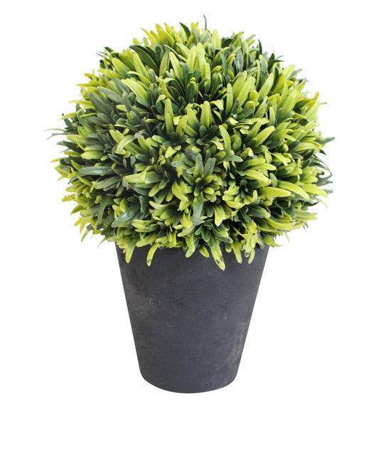 Everlasting French Moss