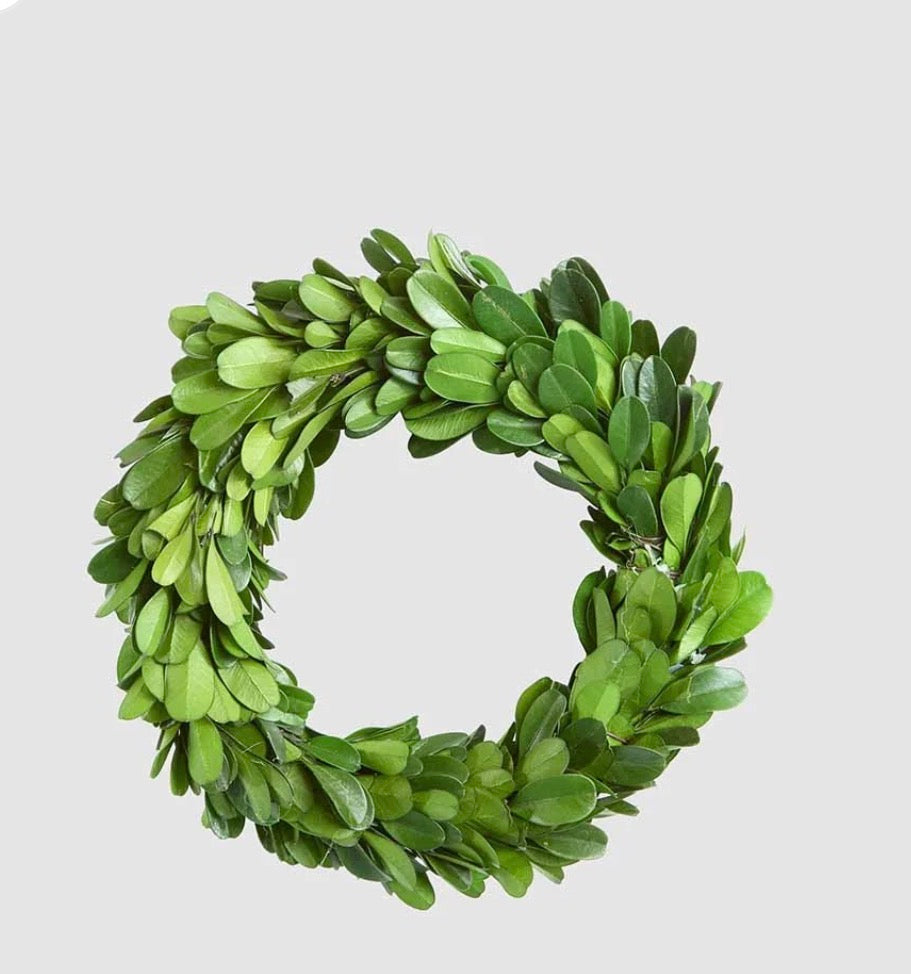 Preserved Boxwood Mini Wreath