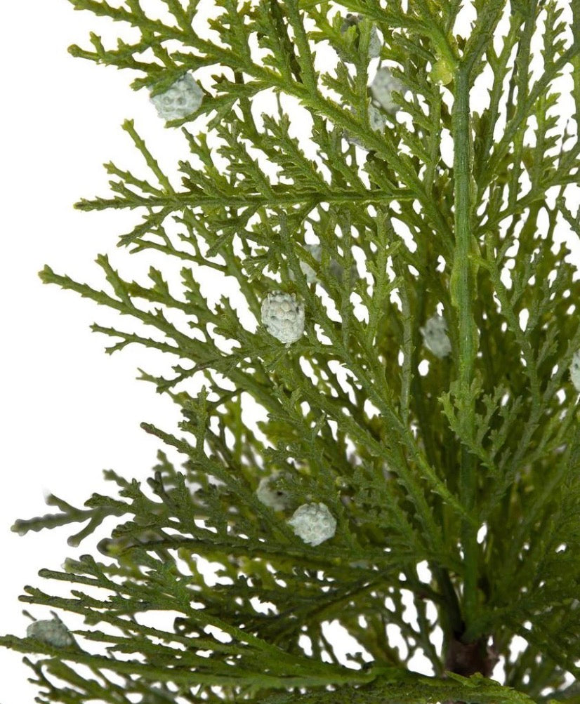 Potted Pine Tree - Small