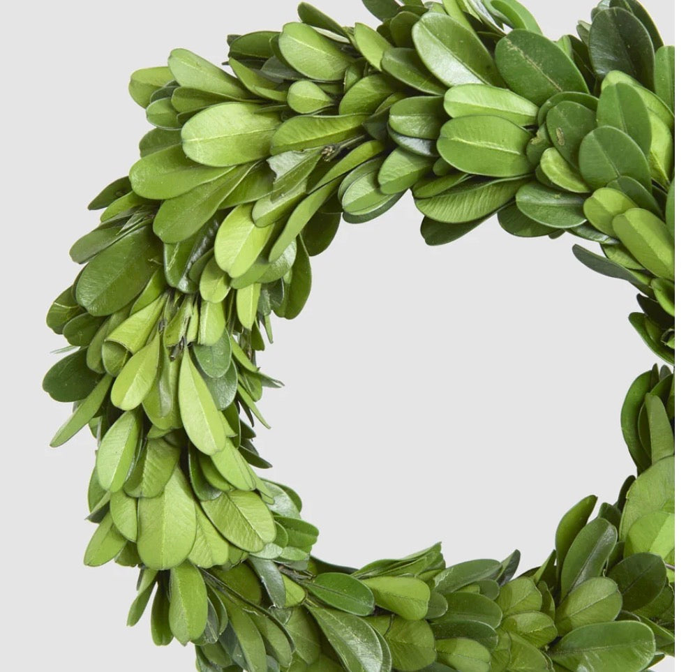 Preserved Boxwood Mini Wreath