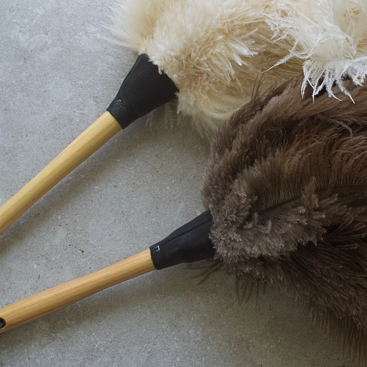 Feather duster