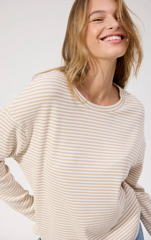 Levi Stripe Long Sleeve - Latte