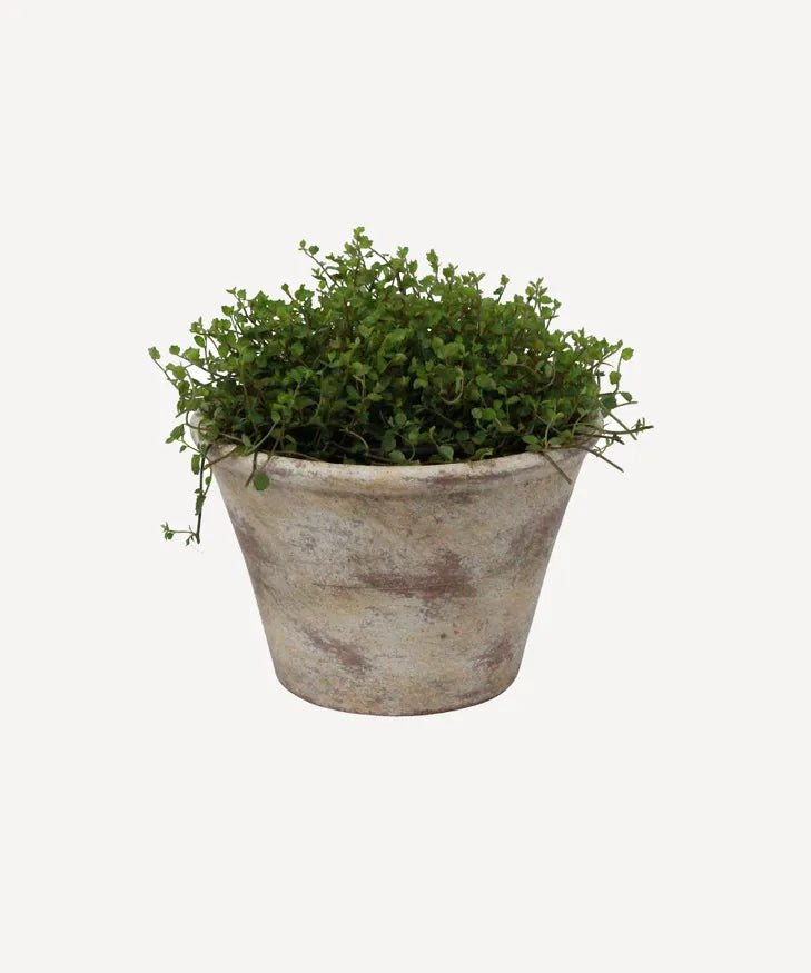 Providence Plant Pot – Two Birds Blue