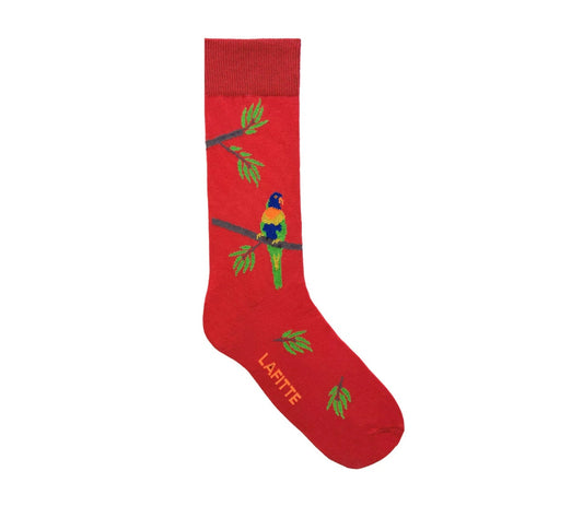 Rainbow Lorikeet Sock