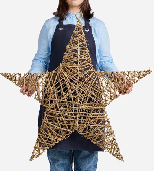 Twist Star
