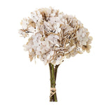 Hydrangea Bundle - Beige
