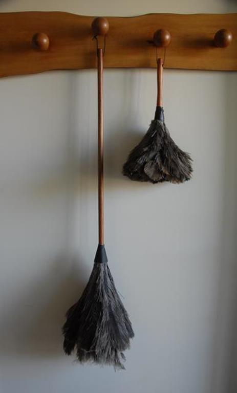 Feather duster