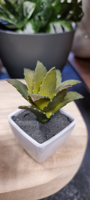 Artifical Faux Succulent - Small