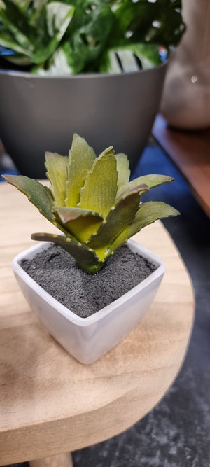Artifical Faux Succulent - Small