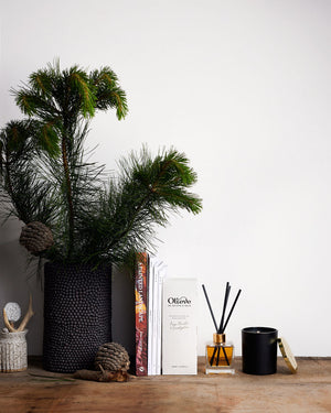 Olieve & Olie Christmas Diffuser - Pine Needle/Eucalyptus