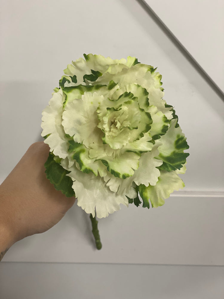 Cabbage Stem Cream/Green