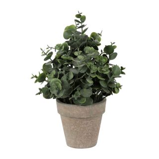 Artifical Eucalyptus Pot