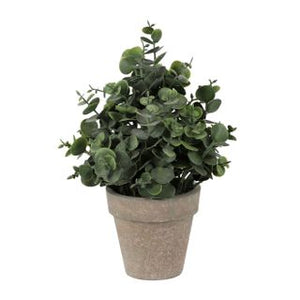 Artifical Eucalyptus Pot