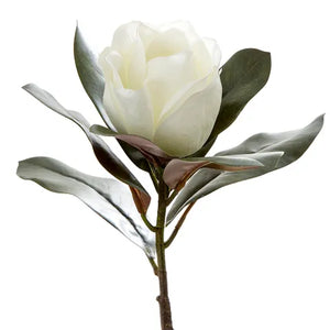 Magnolia Single Head - White