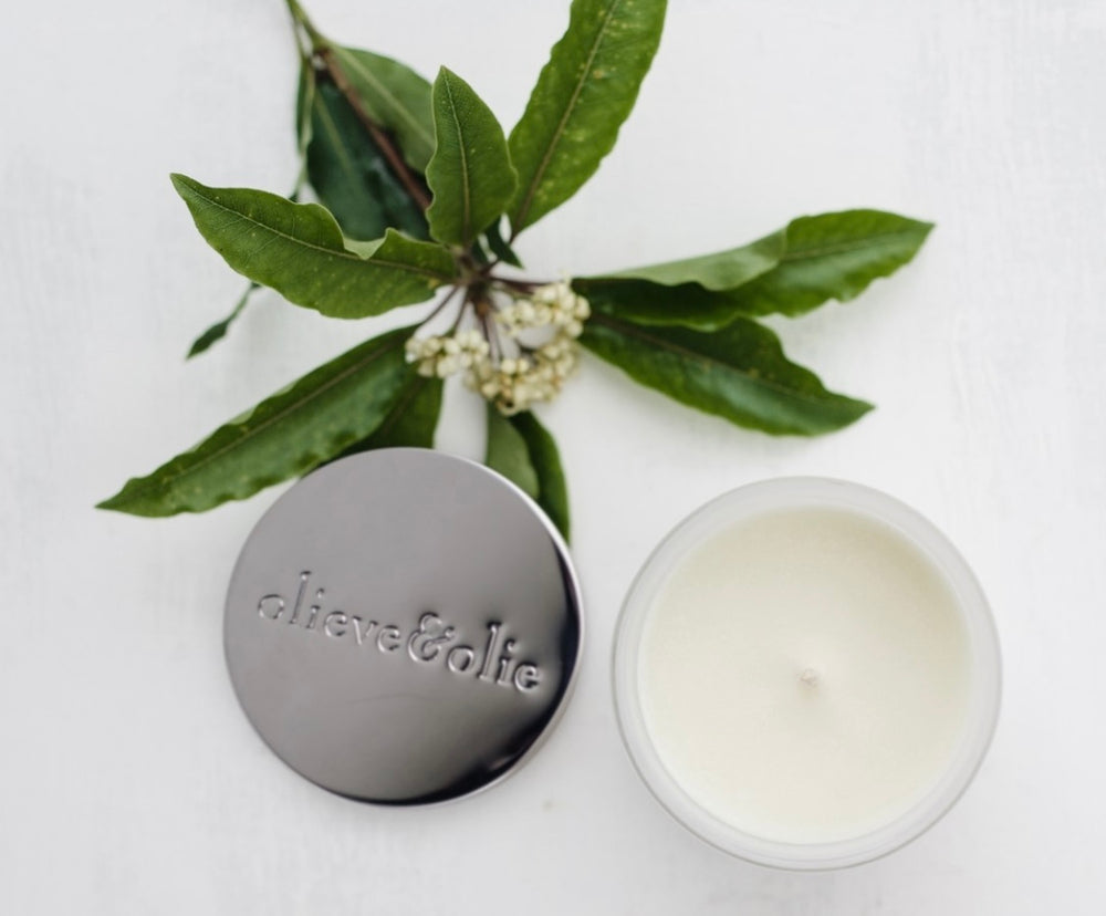 Olieve & Olie Soy Candle - White Rum, Mint & Citrus